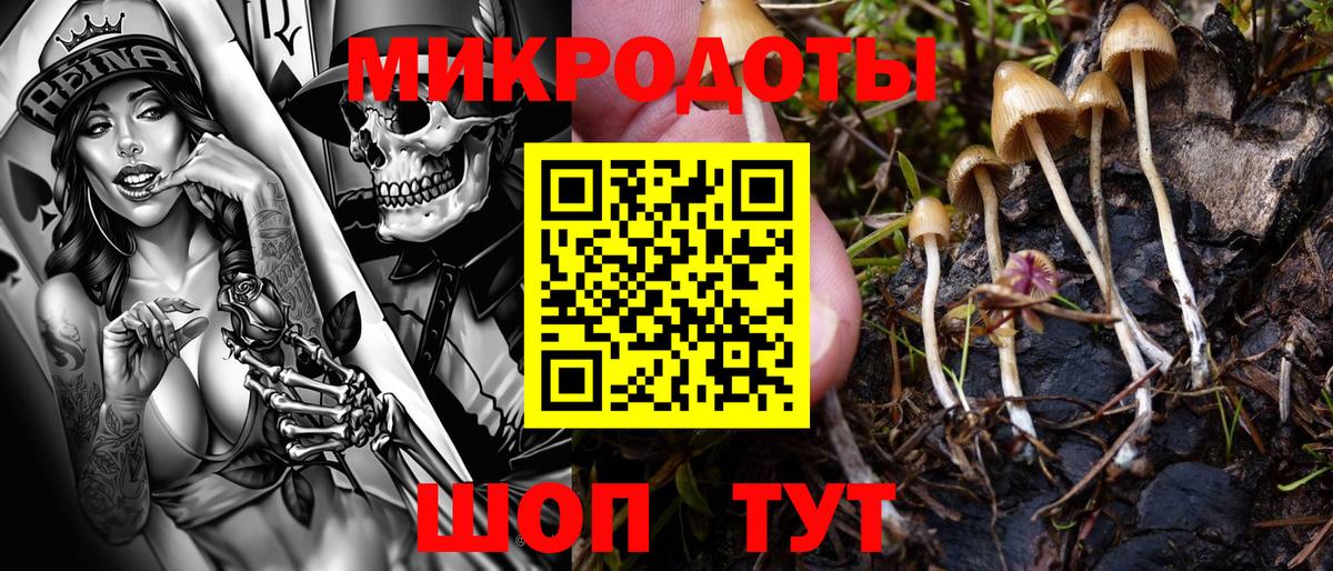 Галлюциногенные грибы GOLDEN TEACHER  Вход с VPN  где продают   Псилоцибиновые грибы Magic Shrooms  Великие Луки 
