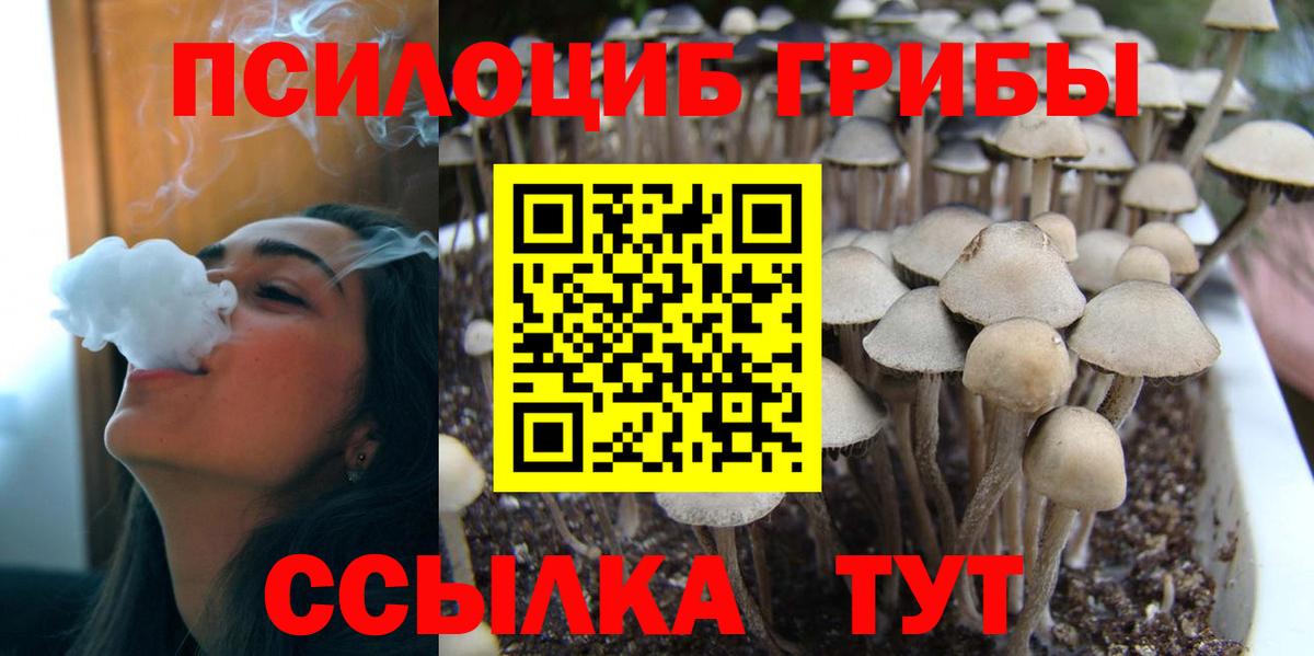Псилоцибиновые грибы Magic Shrooms Великие Луки